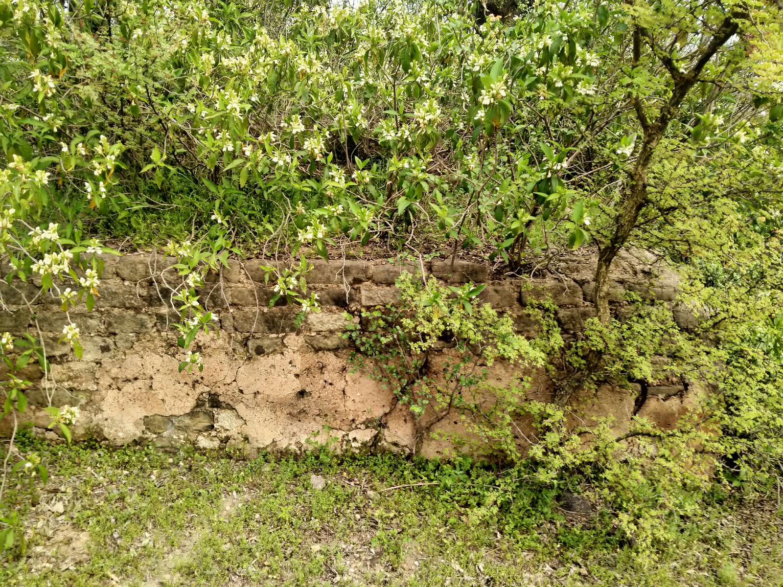 Travel Photo